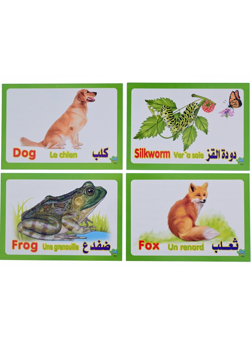 Farm Animal Cards  - Image 2