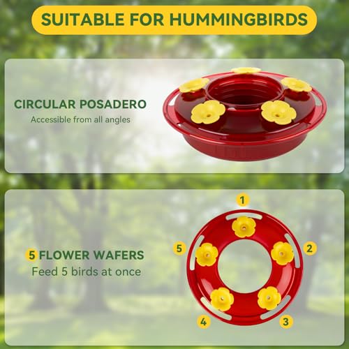 PENXUA Hummingbird Feeder for Outdoors Hanging, 8.3OZ Plastic Humming Bird Feeders with 5 Bee Guard Feeding Ports & Built-in Ant Moat,Hummingbird Gifts for Mom Bird Feeder for Outside,Garden Décor,2 Pack - Image 3