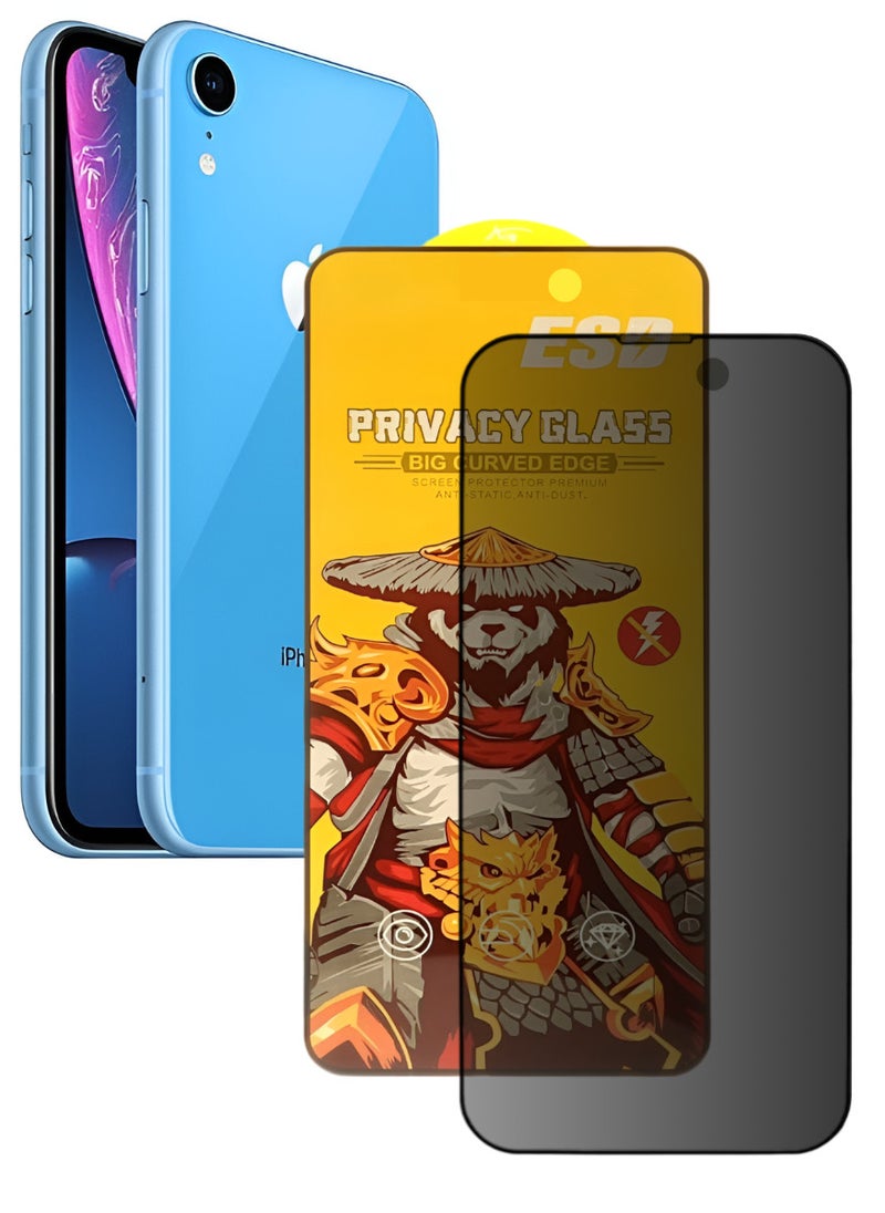ESD Tempered Dustproof Privacy Glass Screen Protector Compatible For iPhone XR - Image 1