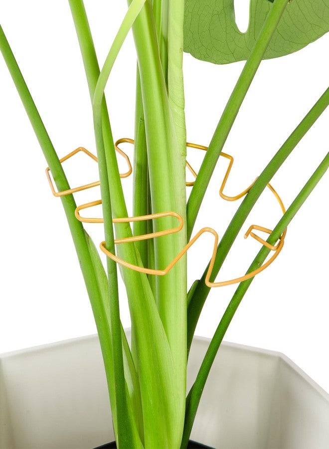 Yeomant 6PCS Monstera Plant Support, Uniquely Designed Indoor Plant Accessories, Stable Plant Support Stakes for Indoor Plant, Turtle Shell Bamboo Clamp Set for Thriving Growth - Image 1