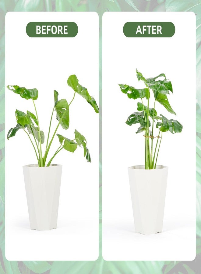 Yeomant 6PCS Monstera Plant Support, Uniquely Designed Indoor Plant Accessories, Stable Plant Support Stakes for Indoor Plant, Turtle Shell Bamboo Clamp Set for Thriving Growth - Image 3