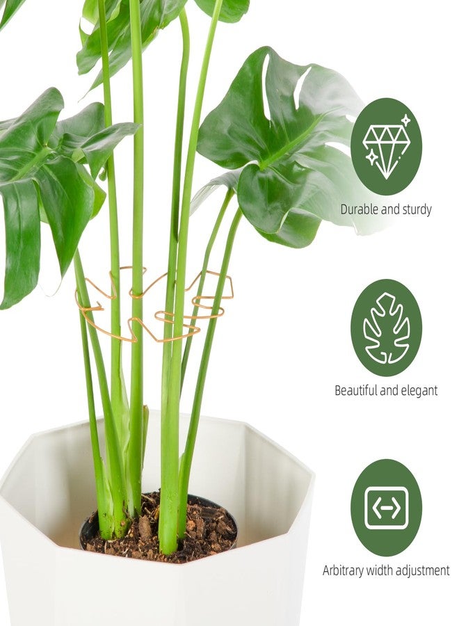 Yeomant 6PCS Monstera Plant Support, Uniquely Designed Indoor Plant Accessories, Stable Plant Support Stakes for Indoor Plant, Turtle Shell Bamboo Clamp Set for Thriving Growth - Image 4