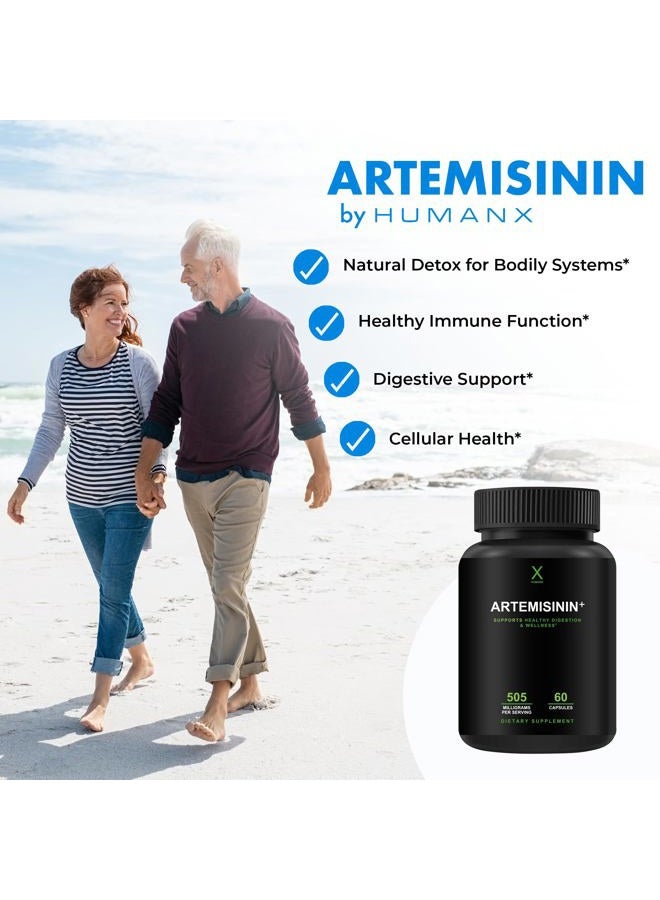HUMANX Artemisinin 505 mg - Supports Healthy Aging, Digestion, and Immunity - USA Third Party Tested - Vegan, Non-GMO - Artemisia Annua Supplement - Sweet Wormwood Extract - Easy to Swallow Capsules - Image 3