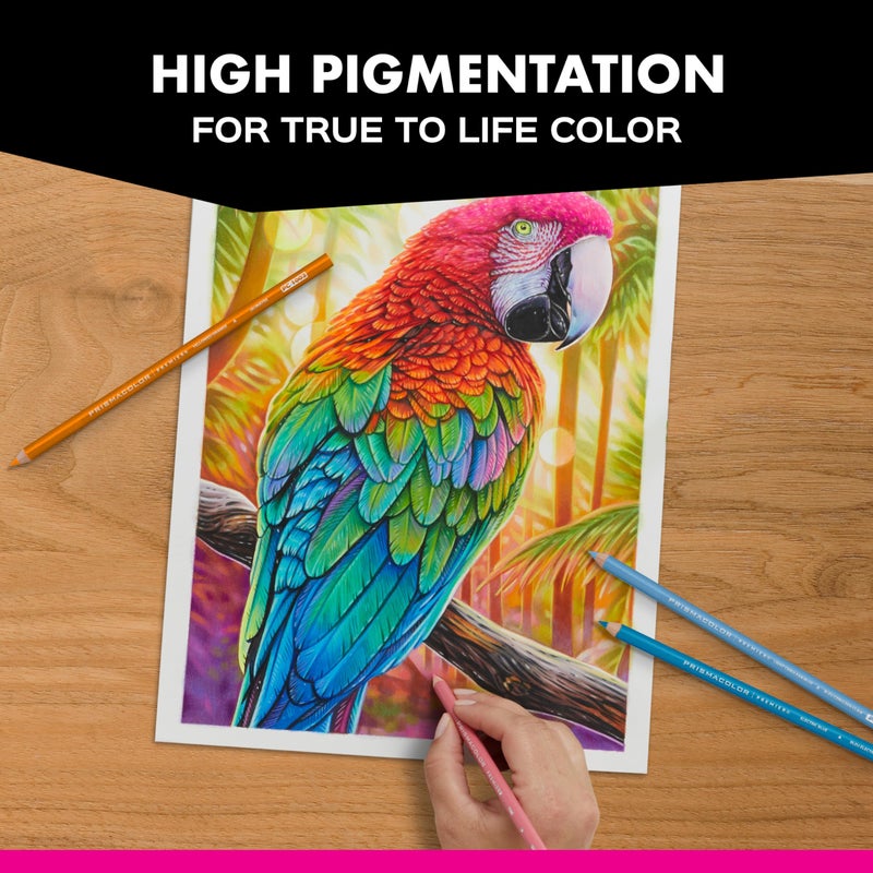 Prismacolor أقلام تلوين بريزماكولور بريميير، ناعمة، بألوان متنوعة للورق الداكن، إصدار محدود، 14 قطعة - تلوين للكبار، رسم، إبداع، مستلزمات فنية - Image 5