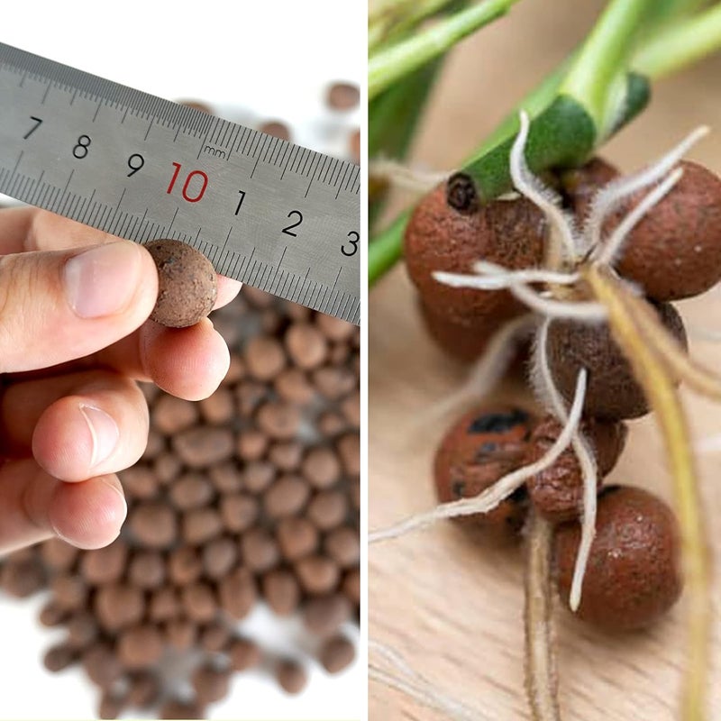 WAURHER Leca Expanded Clay Pebbles 1LBS Grow Media for Indoor Plants Hydroponic Growing Gardening System Supplies … - Image 2