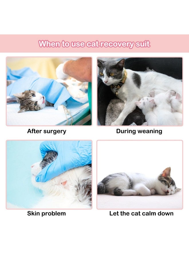 بوماي بوريتي بدلة تعافي القطط من بوميبوريتي بعد الجراحة، بدلة تعافي للقطط بعد الجراحة، بدلة تعافي للقطط الإناث بعد الجراحة، بدلة تعافي للقطط الصغيرة بعد التعقيم/جرح البطن/تلف الجلد/الفطام، مقاس كبير، وردي - Image 5