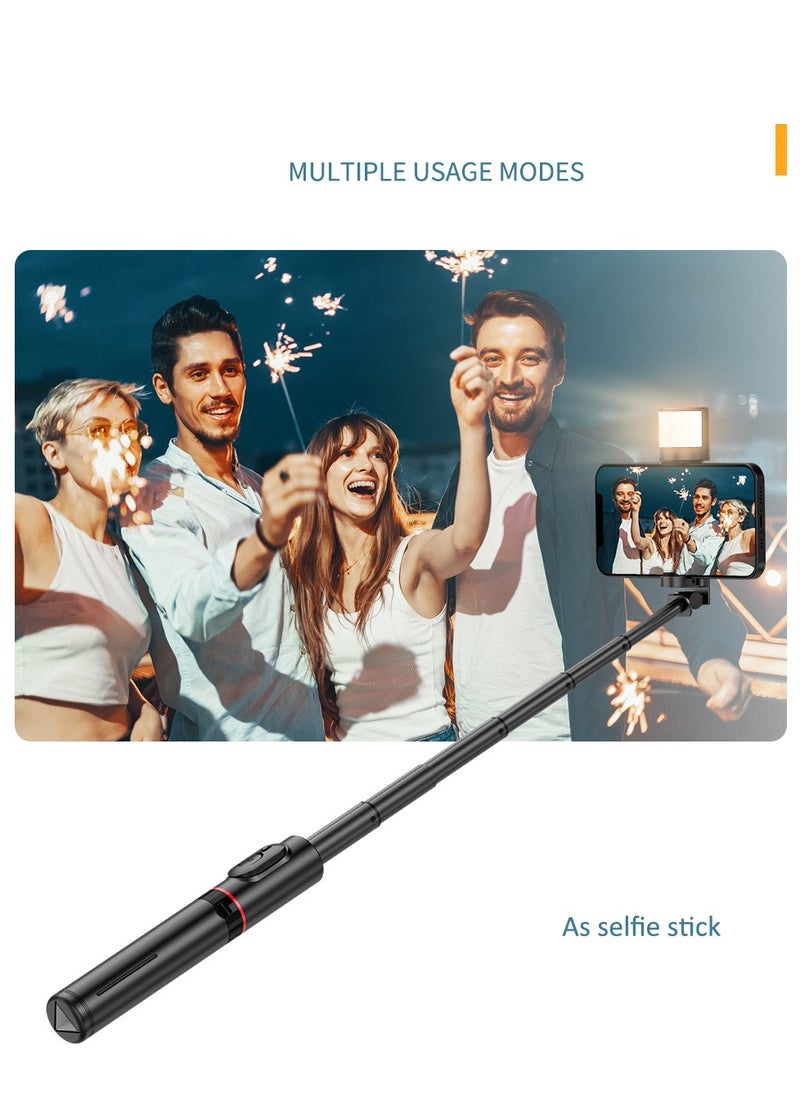 Selfie Stick with Light Extendable Selfie Stick/Tripod Stand With Remote,Black - pzsku/Z0FA2662A1EE5619E1DC5Z/45/_/1706339728/afc8795a-164d-4f6d-bb0e-1f56fb3db14c