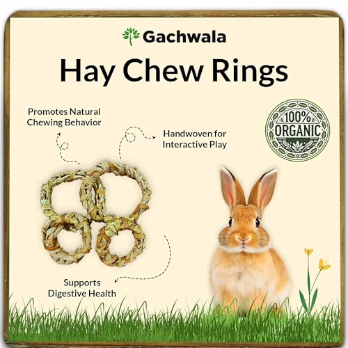 Gachwala, Organic Handwoven Hay Chew Rings for Small Animals (Pack of 4) – Perfect for Rabbits, Guinea Pigs, Hamsters, Chinchillas, and Gerbils – Chew Toy to Promote Dental Health - Image 1