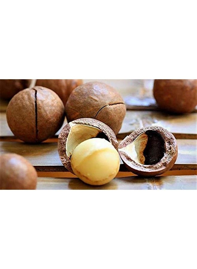 Barefoot Venus Macadamia Nut Body Cream Lotion Ecorefill 250 Ml (Black Coconut) - Image 5