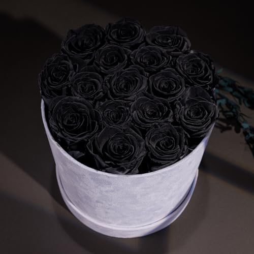 Prifroti 17 Flowers in a Luxury Suede Box, Birthday Gifts for Women, Preserved Flowers, Mothers Day Roses Gift for Mom, Black - Image 4