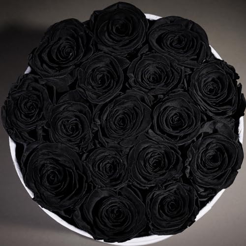 Prifroti 17 Flowers in a Luxury Suede Box, Birthday Gifts for Women, Preserved Flowers, Mothers Day Roses Gift for Mom, Black - Image 5