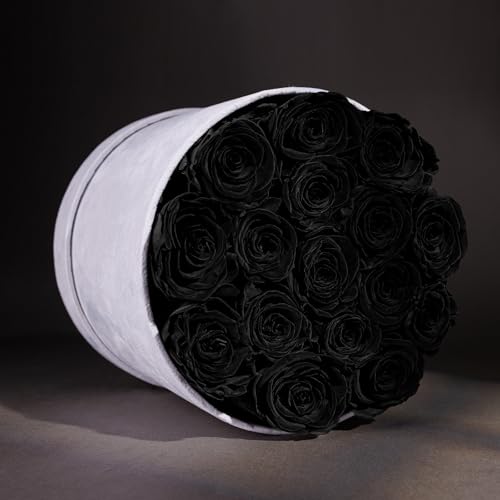 Prifroti 17 Flowers in a Luxury Suede Box, Birthday Gifts for Women, Preserved Flowers, Mothers Day Roses Gift for Mom, Black - Image 2