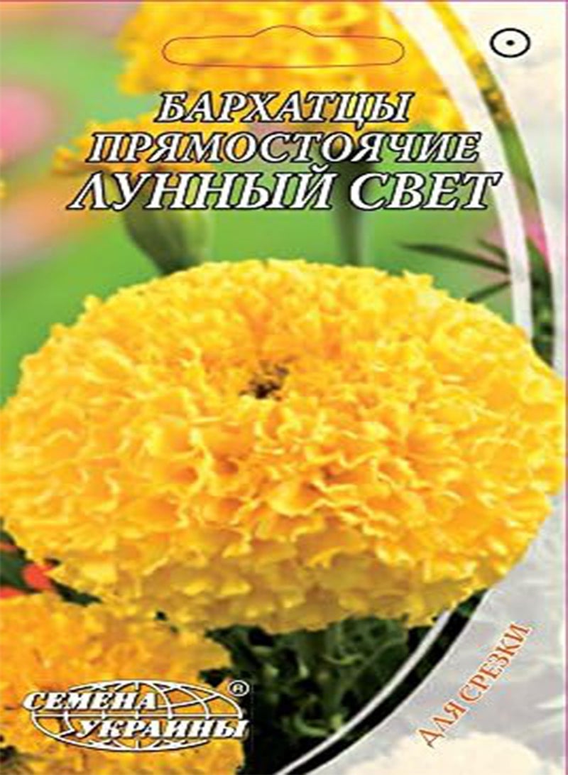 Marigold Tagetes erecta Tall Moonlight Seeds Flowers from Ukraine 0.5 Gram