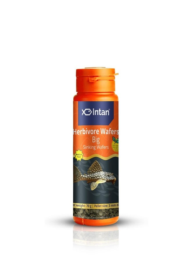 Intan Herbivore Wafers (Big 3.0mm Sinking) | 70gm - Highly Nutritious Ornamental Fish Food for Herbivorous Fish - Mollies, Mbunas & Plecos | Growel Feeds - Image 1