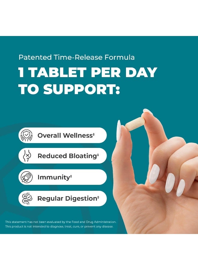 Balance ONE Probiotic, Daily Probiotics For Women & Men, Shelf Stable, 15 Billion Cfus With Prebiotics, 12 Probiotic Strains, Lactobacillus Plantarum Acidophilus & Paracasei, 60 Time-Release Tablets - Image 4