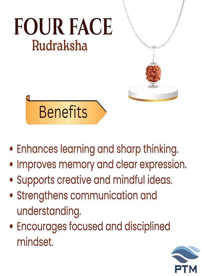 PTM Natural 4 Mukhi Rudraksha Pendant | Chaturmukhi Nepali Astrological Bead | Four Face 925 BIS Hallmark Sterling Silver Locket With Chain for Men and Women lab certified - Image 4