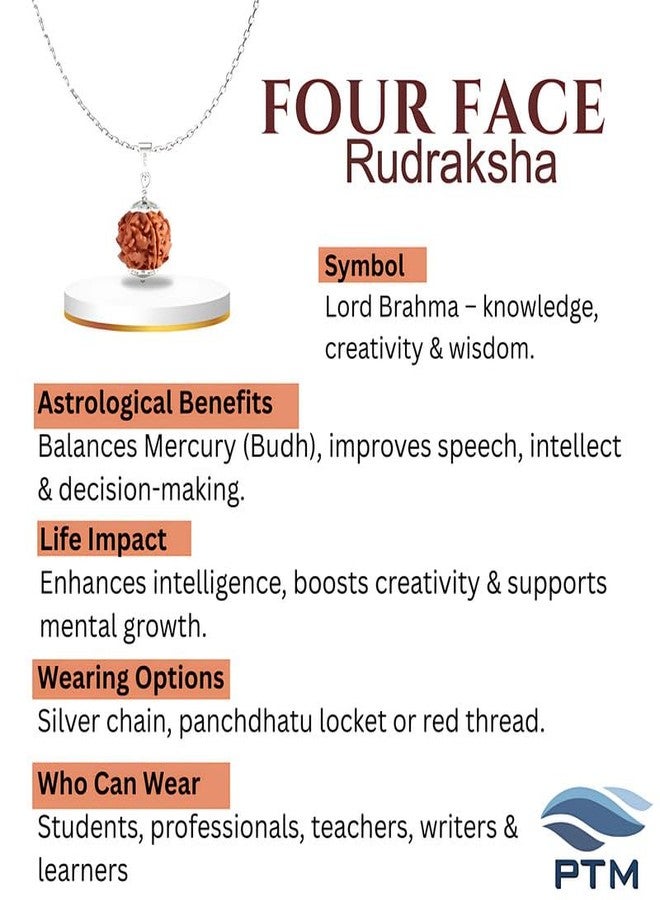 PTM Natural 4 Mukhi Rudraksha Pendant | Chaturmukhi Nepali Astrological Bead | Four Face 925 BIS Hallmark Sterling Silver Locket With Chain for Men and Women lab certified - Image 3