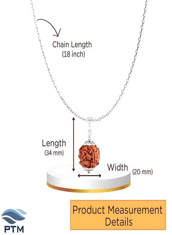 PTM Natural 4 Mukhi Rudraksha Pendant | Chaturmukhi Nepali Astrological Bead | Four Face 925 BIS Hallmark Sterling Silver Locket With Chain for Men and Women lab certified - Image 5