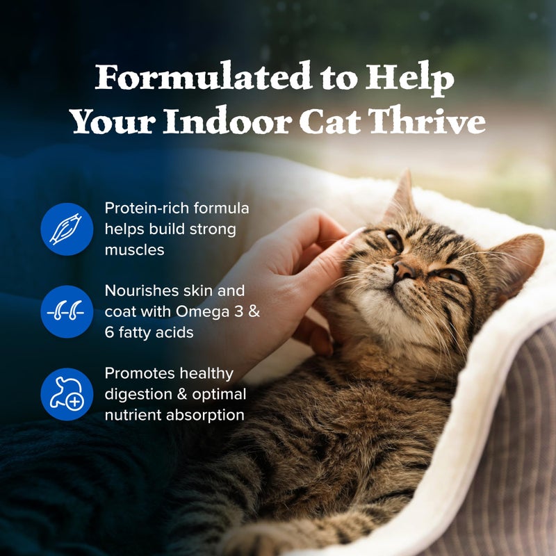Blue Buffalo Wilderness High Protein, Natural Adult Indoor Dry Cat Food, Chicken 15-lb - Image 4