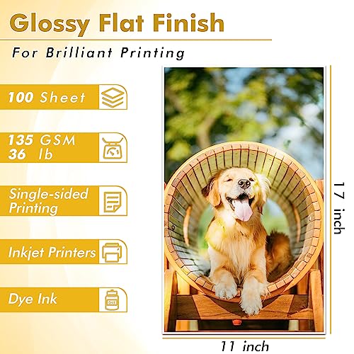 KOALA PAPER Koala Glossy Thin Inkjet Printer Paper 11x17 Inches for Printing Brochure Flyer Glossy 100 Sheets 36Lb for Inkjet Printers DYE INK - Image 2