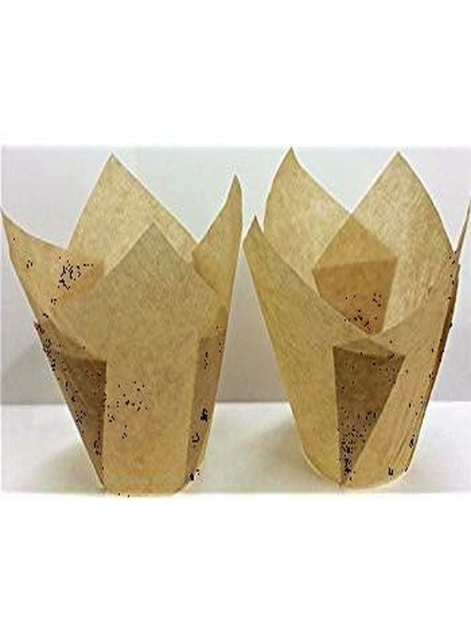 ديكوني ٢٠٠ قطعة من قوالب الكب كيك الطبيعية على شكل زهرة التوليب [آمنة غذائيًا، صُنعت في الولايات المتحدة الأمريكية] قوالب كب كيك كبيرة ومتينة للخبز - قوالب ورقية أنيقة وعصرية للكب كيك - قوالب خبز مقاومة للدهون على شكل زهرة التوليب - مقاس كبير ٢ ٣/٤ - ٤ بوصة - Image 2