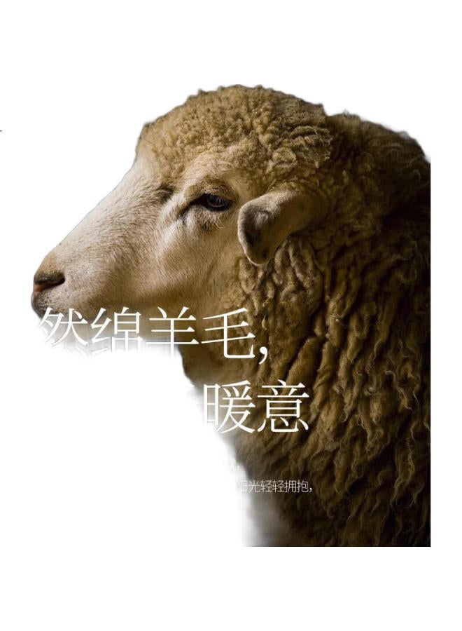 GUJIN 100% Pure Wool Pants, Men'S Thermal Underwear, Heat-Raising Fleece-Lined Thick Woolen Pants, Middle-Aged And Elderly Base Layer Pants, Autumn Pants - Image 2