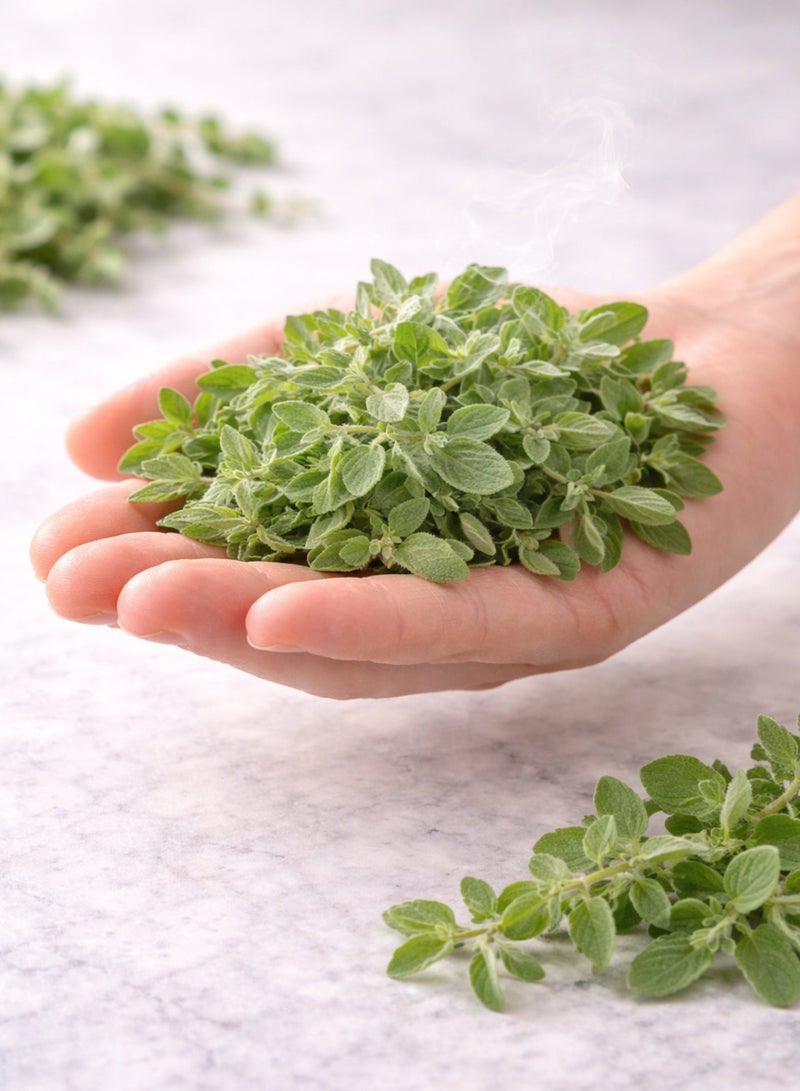Zahr Zathar Leaves (Thyme Leaves) | 100% Natural, Sun-Dried & Hand-Sorted | Premium Botanical Herb for Gardening & Horticulture Use - Image 3