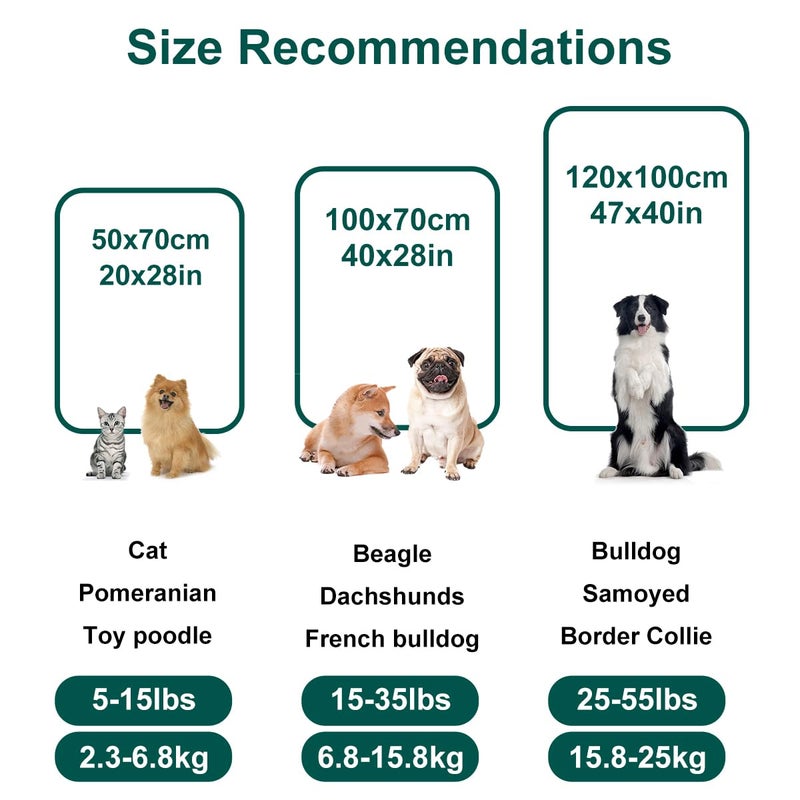 Onarway Dog Blanket Washable for Puppy: 4 Packs Dog Blankets 40â€x28â€ - Fluffy Soft Small Throw for Cat Puppy Kitten Dogs - Fleece Pet Blankets for Bed Sofa Car and Indoor - Lake Green and Purple - Image 3