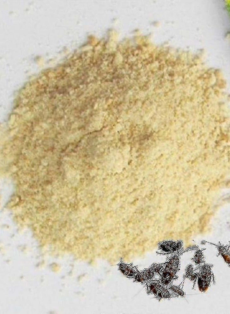 10 Pack Highly Effective Bed Bugs Killer Powder 1Og - Image 3