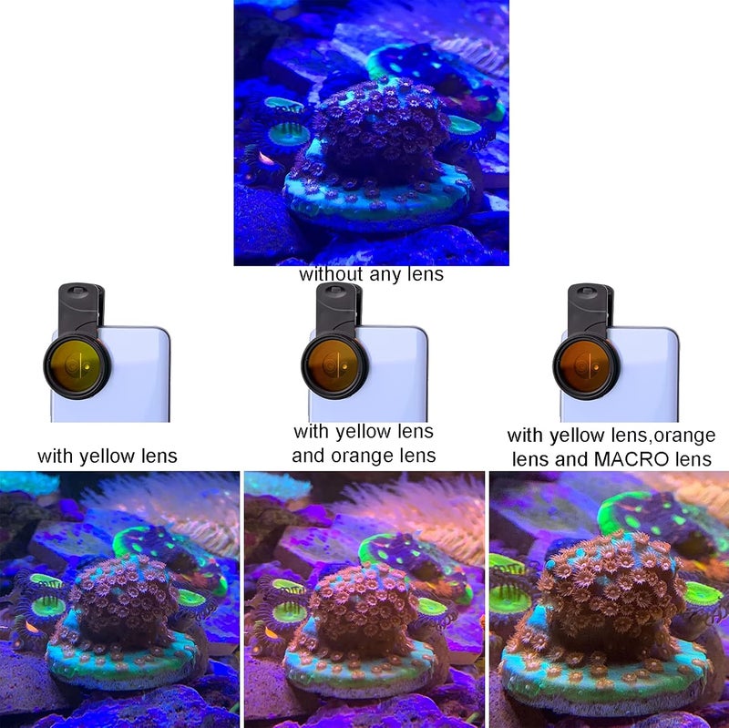 Saricho Coral Lens Set, Smartphone Reef Lens Kits, 1 Dust Case, 2 Clips, 8 Lenses: Yellow, Orange, Gradual Yellow Orange Pink, Star6, CPL, Macro - Image 4