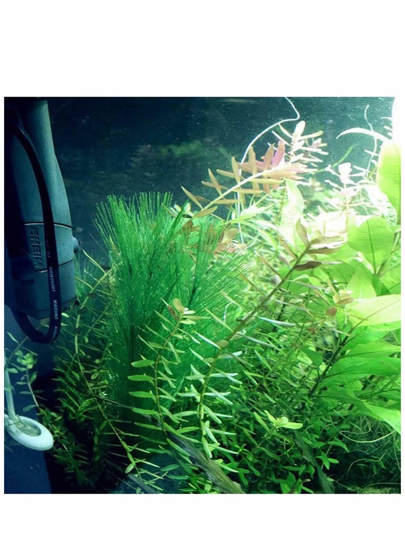 OMEVE 3 Pcs Artificial Seaweed Water Plants for Aquarium, Plastic Green Plants Aquarium Decorations for Fish Tank,Home Decor  - Image 2