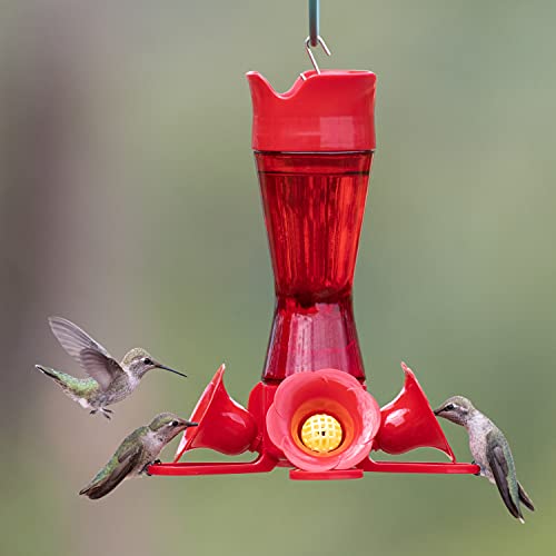 Perky-Pet Pinch Waist Red Glass Hummingbird Feeder - Humming bird Feeder for Outdoors - 203CPBR - 8 oz Capacity - Image 2