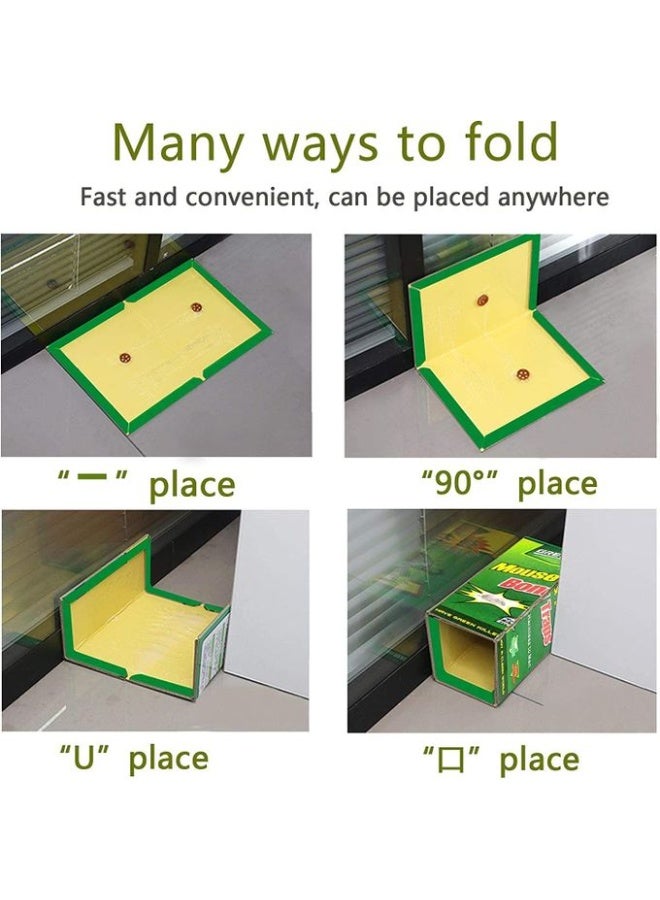 Large Glue Trap for Mice, Rats, Snakes and Rodents Large Glue Board for Mice and Rats Large Glue Trap for Mice and Snakes Large Glue for Mouse - Image 4