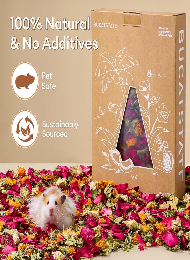 BUCATSTATE 5L Natural Flower & Hamster Bedding Soft Natural Bedding for Hamster Enrichment for Small Pets & Dwarf Syrian Hamsters, Gerbils, Mice - Image 4