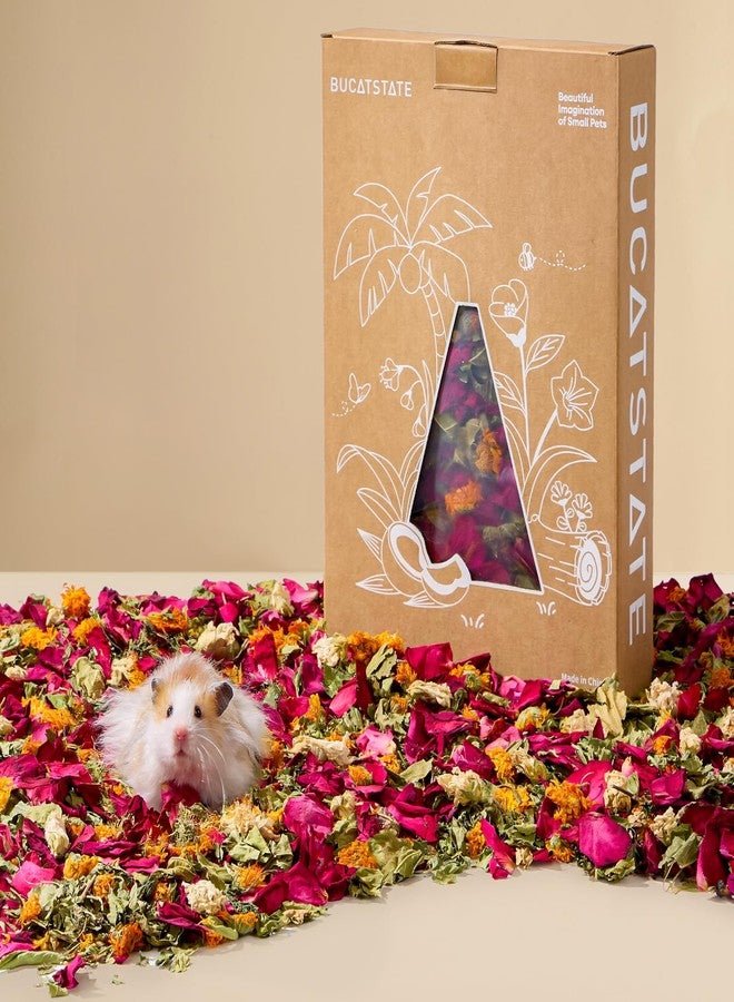 BUCATSTATE 5L Natural Flower & Hamster Bedding Soft Natural Bedding for Hamster Enrichment for Small Pets & Dwarf Syrian Hamsters, Gerbils, Mice - Image 1