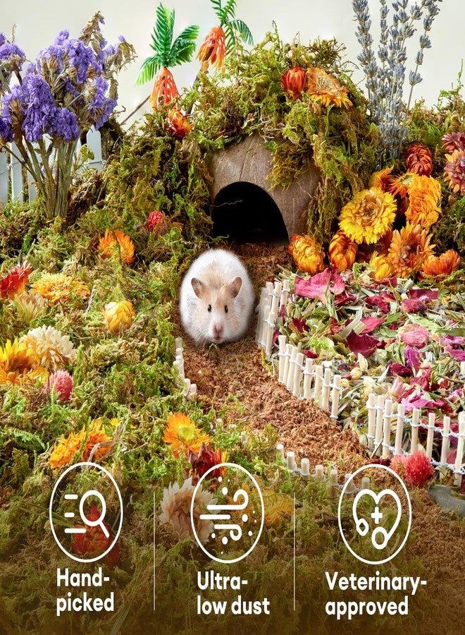 BUCATSTATE 5L Natural Flower & Hamster Bedding Soft Natural Bedding for Hamster Enrichment for Small Pets & Dwarf Syrian Hamsters, Gerbils, Mice - Image 5