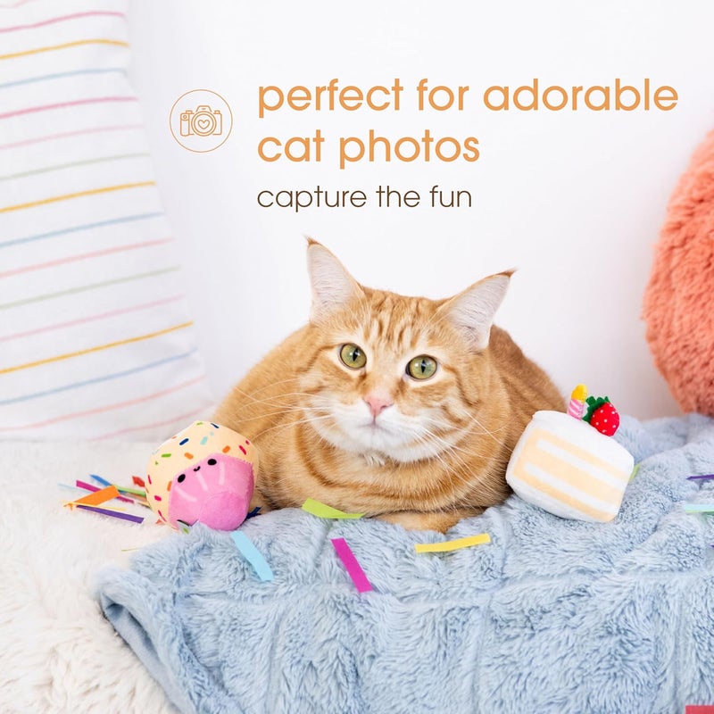 Pearhead Happy Birthday Cake Cat Toy Set Stuffed Birthday Cake and Cupcake Cat Toys with Catnip and Squeakers Interactive Fun Kitten Toys Pet Owner Pet Birthday Gift Ideal for Cat Lovers Set of 2 - Image 4