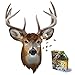 Madd Capp Puzzles  I AM Buck  550 pieces  Animal Shaped Jigsaw Puzzle - Image 4