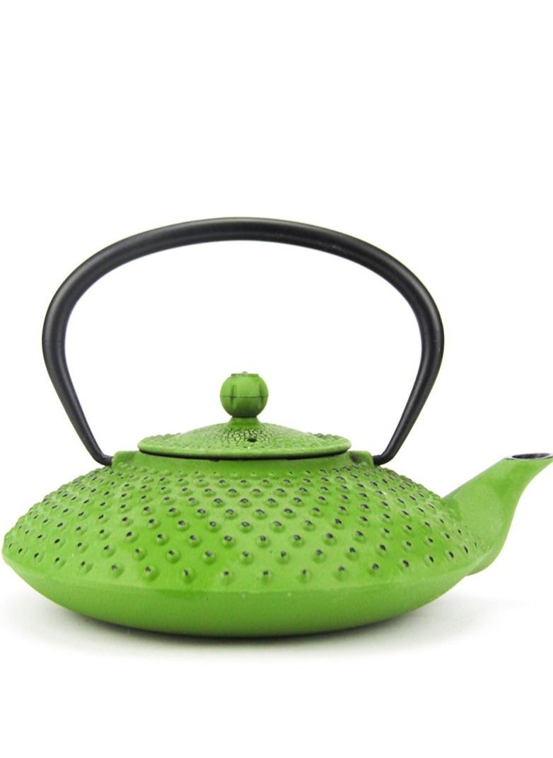 Durable Coated with Enamel Interior Cast Iron Teapot with Stainless Steel Infuser for Brewing Loose Tea Leaf  (green) 1.2L - pzsku/Z0FB4B0FFE0286012AB95Z/45/_/1673110580/11a18e19-2632-4c7f-8763-baa41ff22ecd