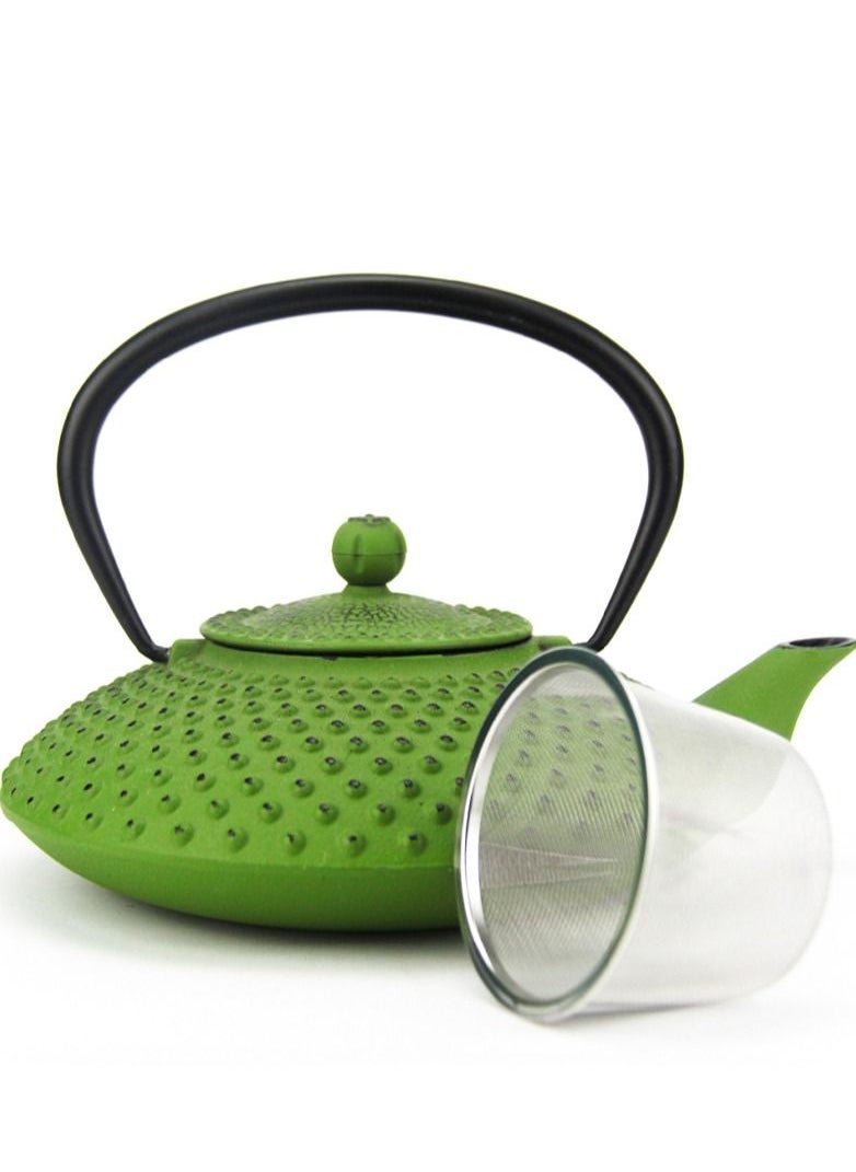 Durable Coated with Enamel Interior Cast Iron Teapot with Stainless Steel Infuser for Brewing Loose Tea Leaf  (green) 1.2L - pzsku/Z0FB4B0FFE0286012AB95Z/45/_/1673110580/e692e783-5f40-4941-9ad0-1c3a90964407