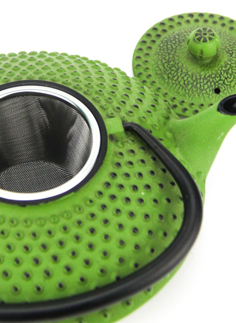 تيلاند إبريق شاي من الحديد الزهر الداخلي مطلي بالمينا مع مصفاة من الفولاذ المقاوم للصدأ لتخمير أوراق الشاي السائبة (أخضر) 1.2 لتر - Image 3