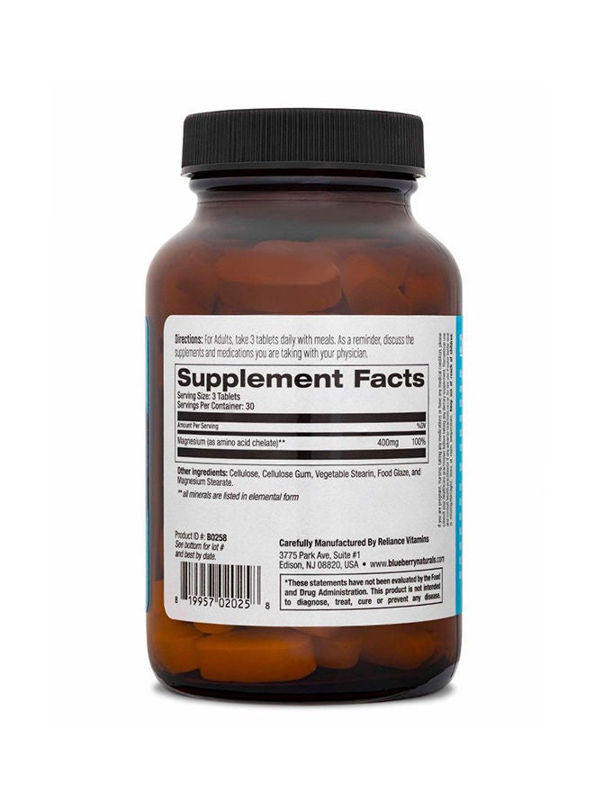 blueberry NATURALS Chelated Magnesium 400MG Tab 90's - Image 2