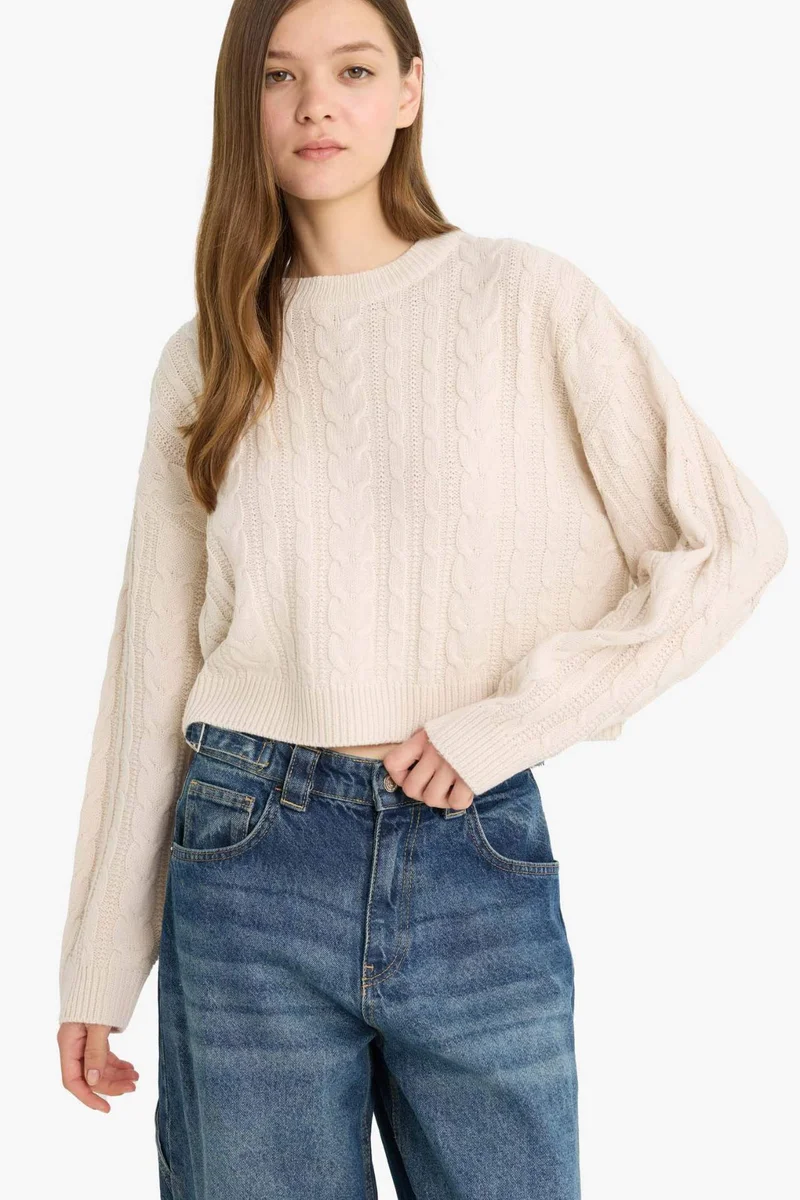 ديفاكتو Regular Fit Crew Neck Knitted Pullover