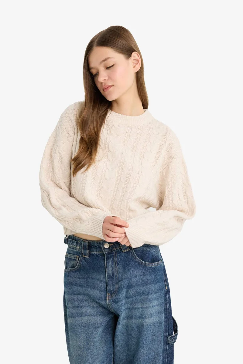 ديفاكتو Regular Fit Crew Neck Knitted Pullover