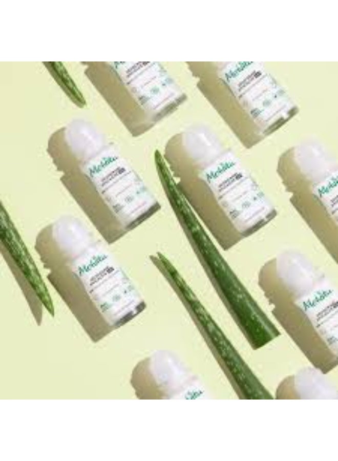 Melvita 24H Protection Deodorant 50ml - Image 4