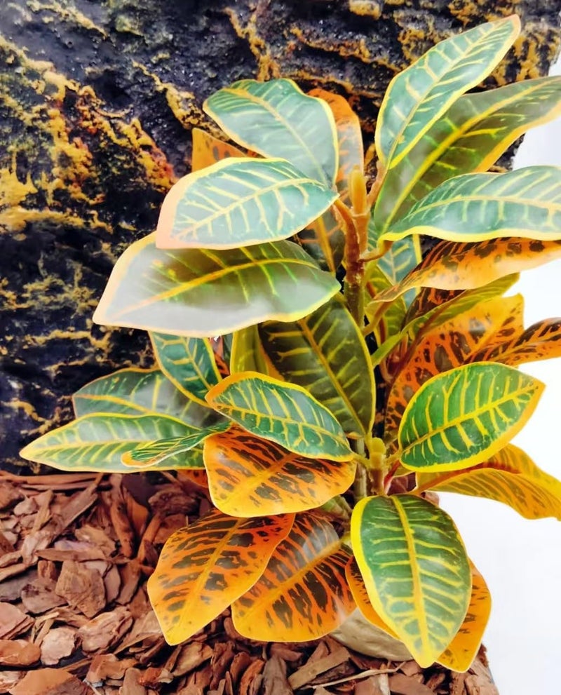 KERUIDENG Reptile Plants Terrarium Artificial Leaves Reptile Tank Decorations for Bearded Dragon Lizard Snake Geckos Chameleon Amphibian Habitat Terrarium Decor - Image 4