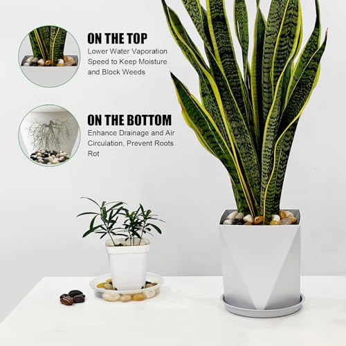 RooTrimmer Rocks for Plants 5 Lbs, 0.8-1.5 Inch High Polished Pebbels, Decorative Stones for Garden Landscaping, Smooth Gravel Filler for Outdoor Plants, Succulents, Fish Tank and Vases - Image 2