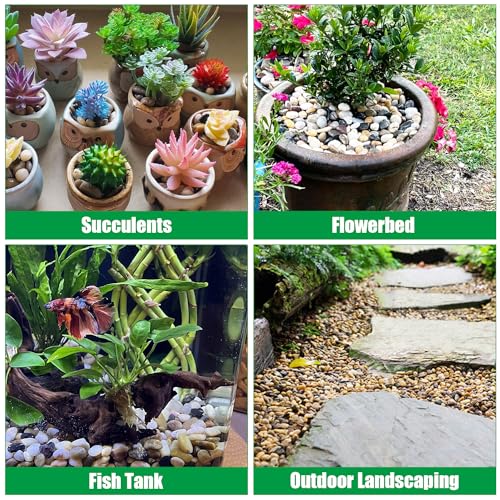 RooTrimmer Rocks for Plants 5 Lbs, 0.8-1.5 Inch High Polished Pebbels, Decorative Stones for Garden Landscaping, Smooth Gravel Filler for Outdoor Plants, Succulents, Fish Tank and Vases - Image 3