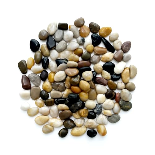 RooTrimmer Rocks for Plants 5 Lbs, 0.8-1.5 Inch High Polished Pebbels, Decorative Stones for Garden Landscaping, Smooth Gravel Filler for Outdoor Plants, Succulents, Fish Tank and Vases - Image 1