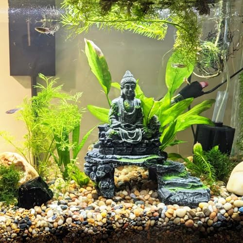 RooTrimmer Rocks for Plants 5 Lbs, 0.8-1.5 Inch High Polished Pebbels, Decorative Stones for Garden Landscaping, Smooth Gravel Filler for Outdoor Plants, Succulents, Fish Tank and Vases - Image 4